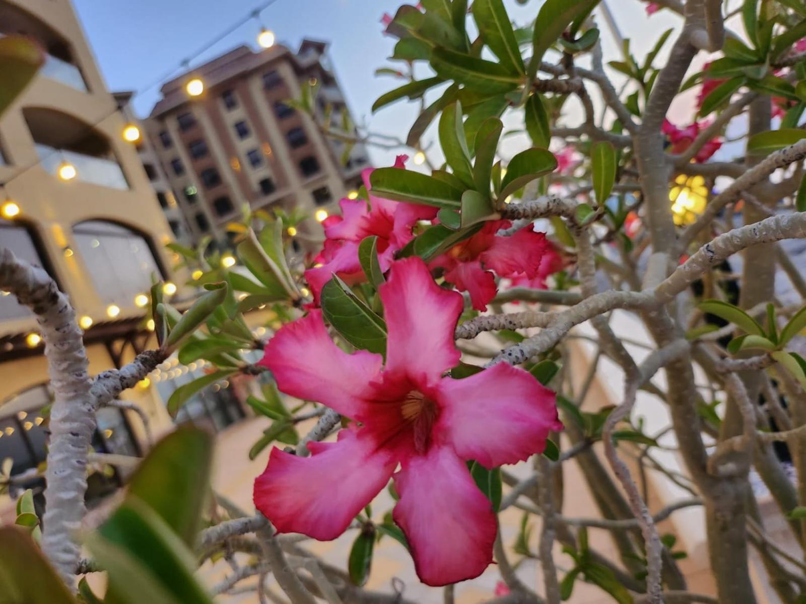 Marjan Island Beautiful Apartment Sea Side View Beach Luxury Rooms Ras Al Khaimah Uae Exterior photo